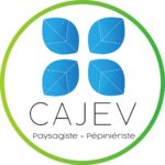LOGO CAJEV